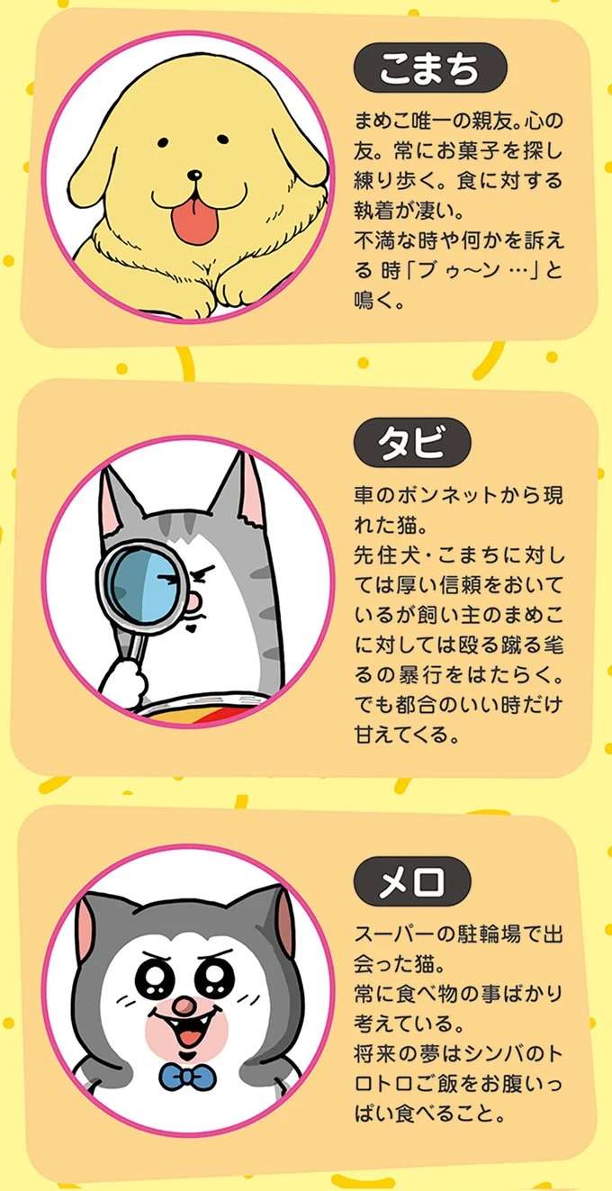 「飲めーーー!!」こだわりの強い犬。散歩から帰って飼い主との攻防が／まめきちまめこニートの日常 こまちとタビ5 mame6_2.jpeg