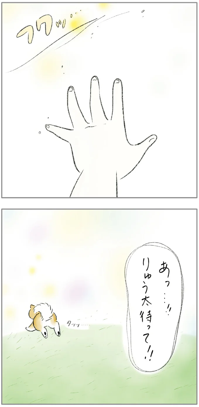 『ターとアグのしあわせ日和 元ノラ猫と元保護犬、ふたりは親友』 06-05.png