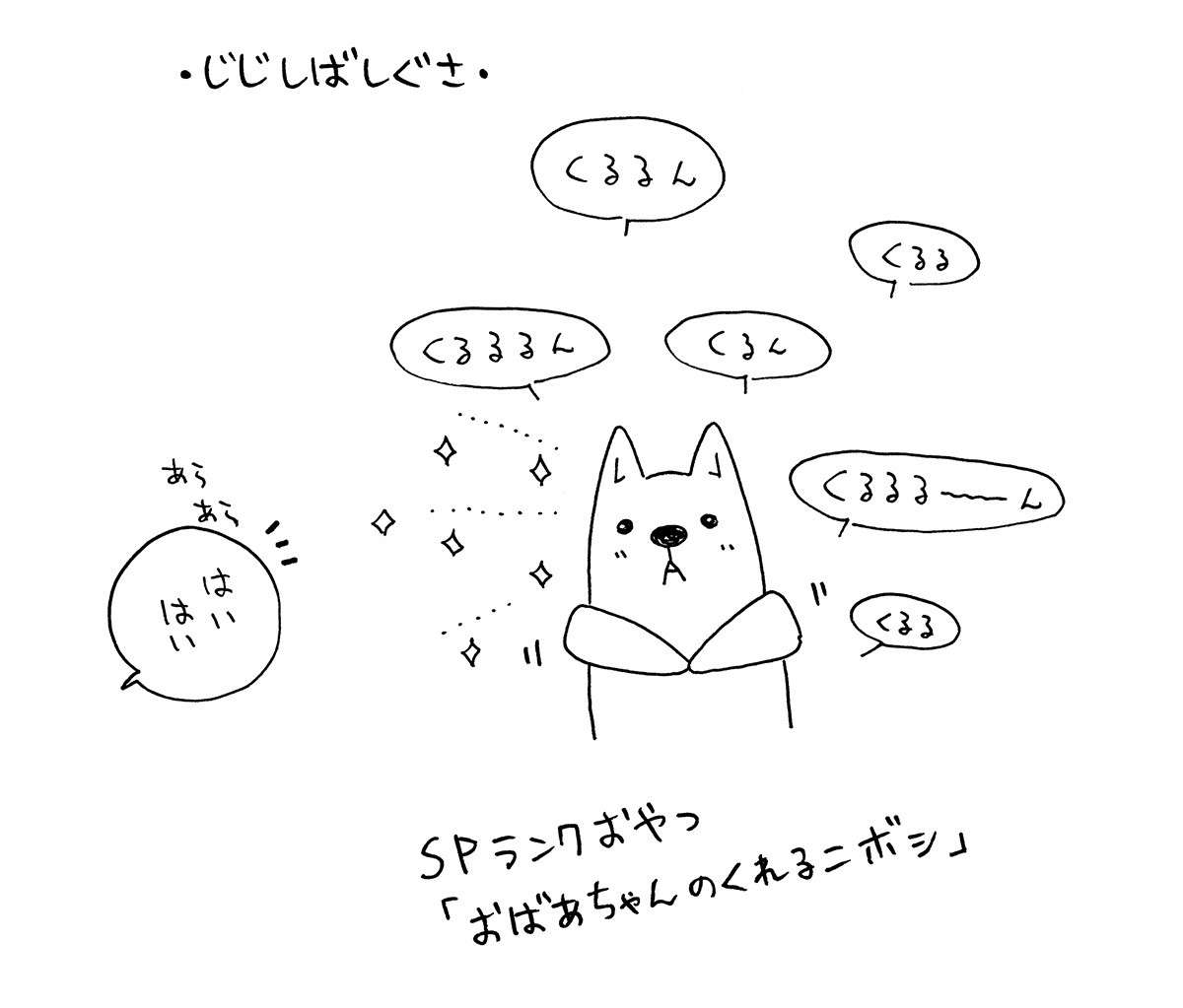 じいちゃん柴犬が散歩で出会うお友達。いなくなった今も...／じじ柴ハチさん 12.jpg