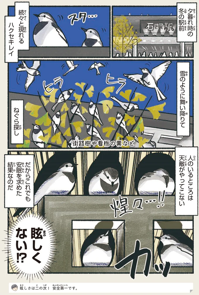 「コンビニの駐車場を走り回っている鳥」の正体。なんだか楽しそう...／意外と知らない鳥の生活 12.png