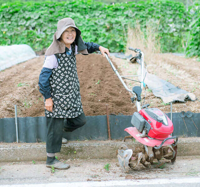 73歳で本格始動。80代のYouTuber・ひろちゃんが「食べることも忘れて」土と遊ぶ理由 今日も明日も新しいことに挑戦!-80代、ご機嫌に生きる人生の耕し方_P001-192【見開き】-3.jpg