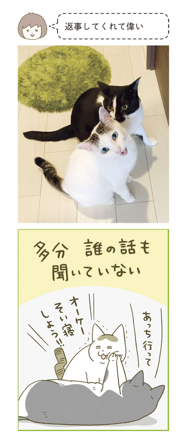 「話しかけると返事してくれる猫」でも話は聞いてないと思う「理由」／うちの猫がまた変なことしてる。6 12.jpg