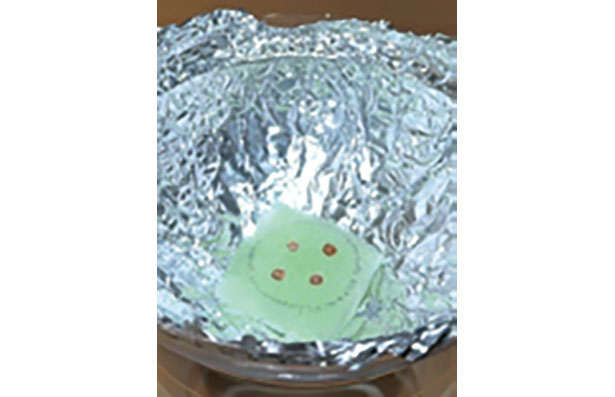 【女性に人気の「パクチー」を育てよう】「プラカップ」を使えば長く簡単に栽培可能！ chapter-1-プラカップ_0124-4-6.jpg