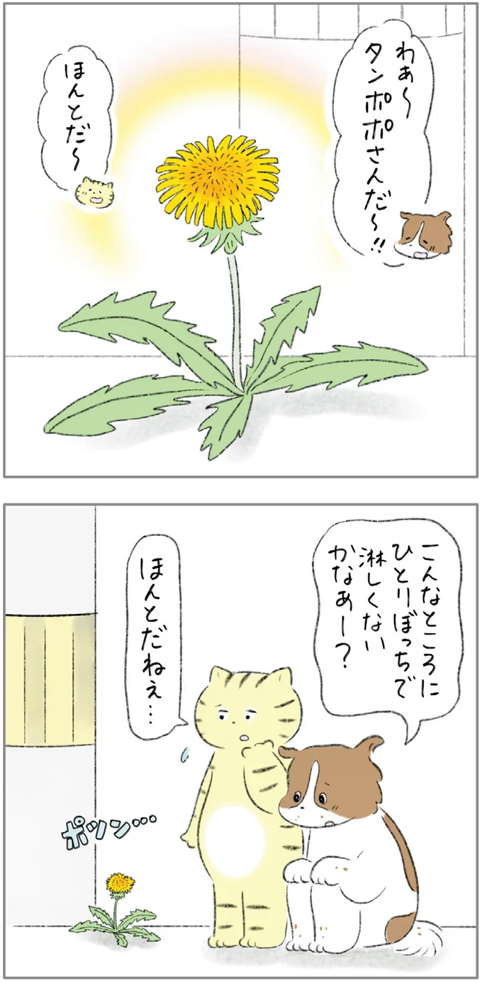 『ターとアグのしあわせ日和 元ノラ猫と元保護犬、ふたりは親友』 02-02.png