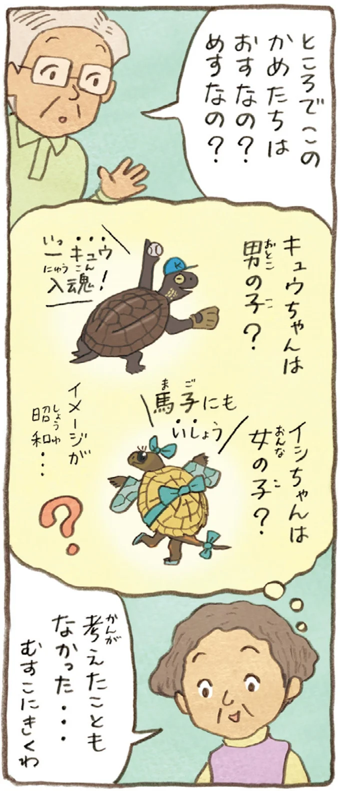 おばあちゃんとかめ 何げに楽しい2匹とのくらし 09-05.webp