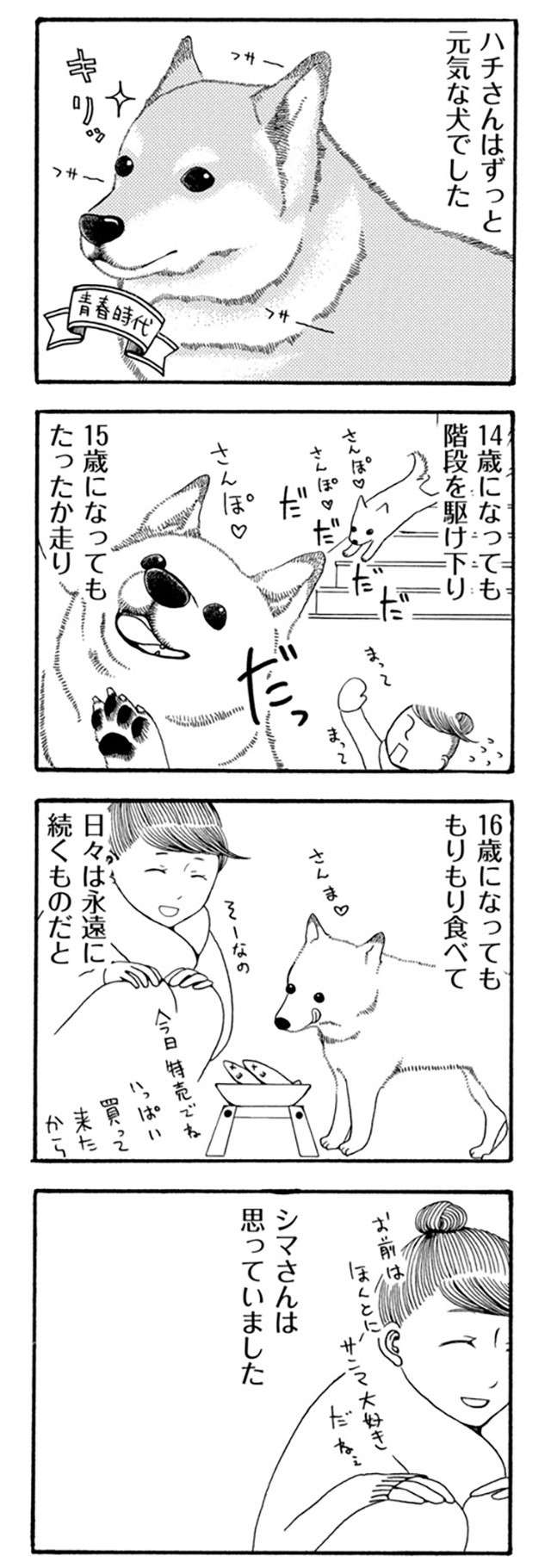 「起きてよおおお」愛犬が病気で2週間の昏睡...。その後の新しい生活は／96歳の柴犬ハチさん 2.jpg