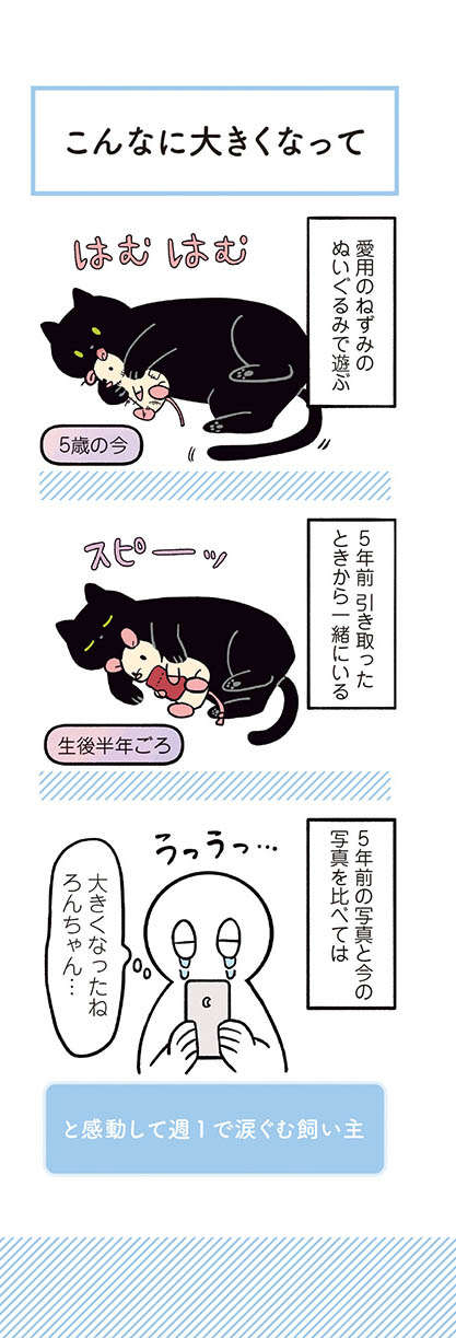 ブラッシングが好きな愛猫。でも、仕上げの「これ」だけは苦手で...!?／黒猫ろんと暮らしたら2 23.jpg