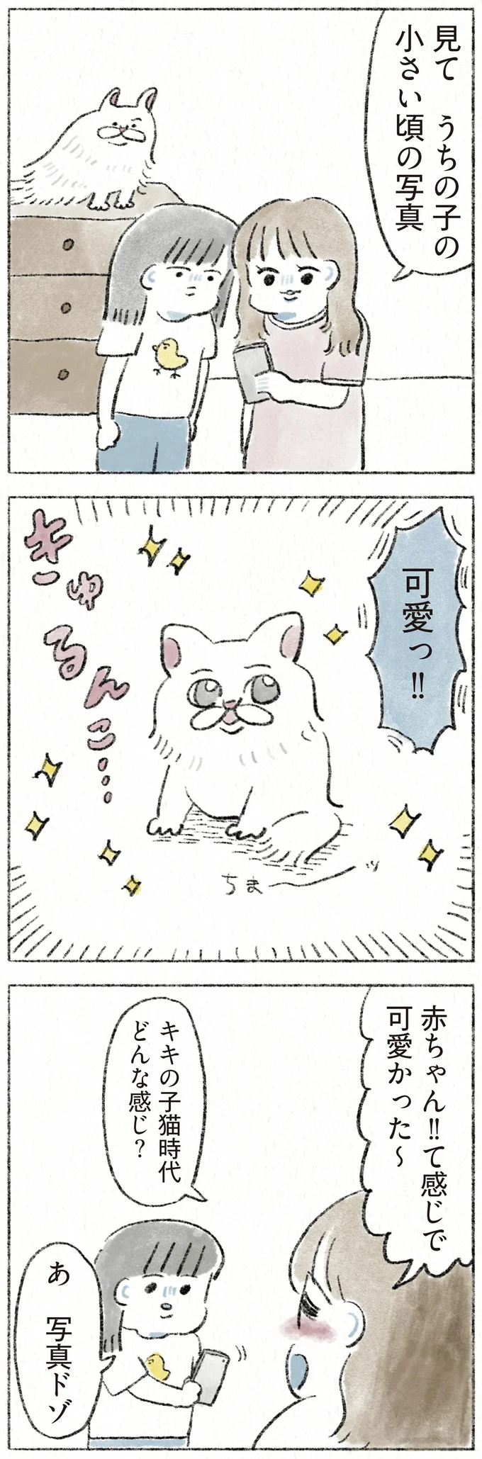 『うちの猫は今日も塩対応』 51.webp