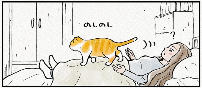 大好きな飼い主とお昼寝する甘えん坊猫。でも、主義は曲げないぞ/元野良猫チャチャ 本日も見まわり中