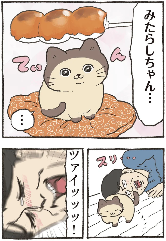 『ねこに転生したおじさん 6』 04-04.webp