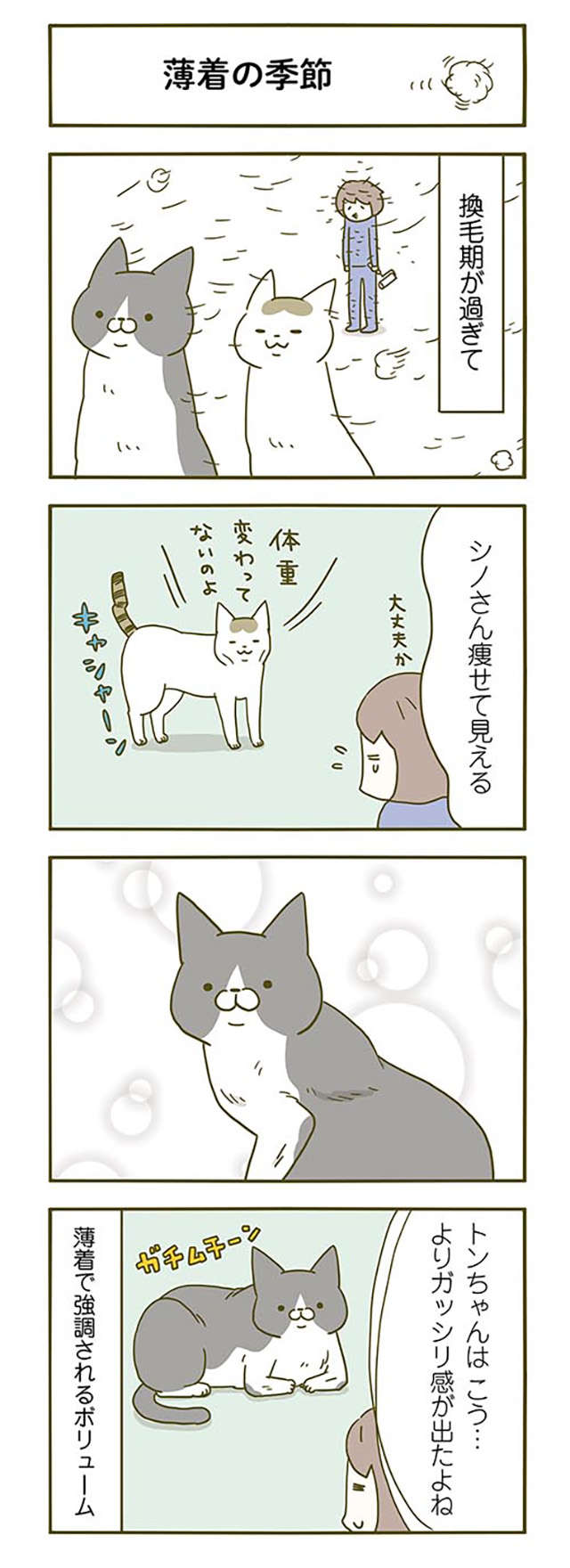 「おいでなすったな」猫の抜け毛の時期。朝、飼い主の顔の状態は／うちの猫がまた変なことしてる。2 13.jpg