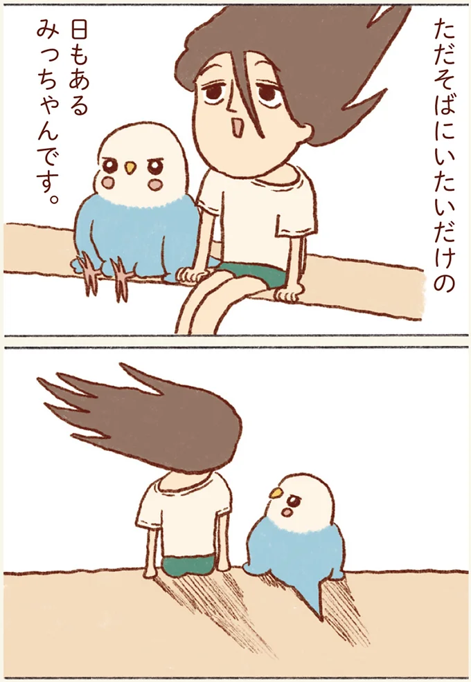 『プジェ日記！ 幸せを運ぶインコのみっちゃん』 134.webp