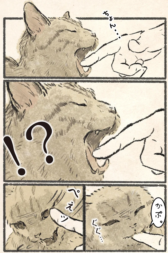 『今日もネコ様の圧が強い』 02-02.png