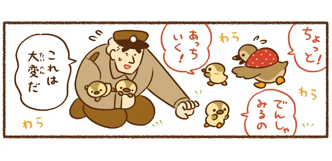 カルガモ親子の引っ越しを成功させた、おまわりさんのアイデア/平和な事件しか起こらない町