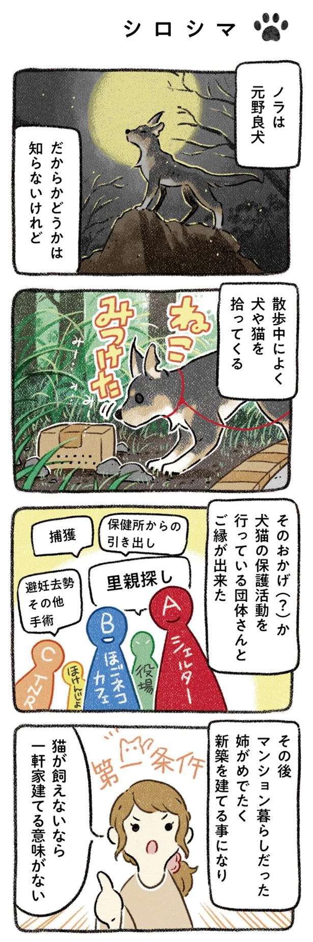 えー...保護犬と保護猫、新築の家での出会い。結果は...理不尽！／ドベとノラ dobetonora8_1.jpeg