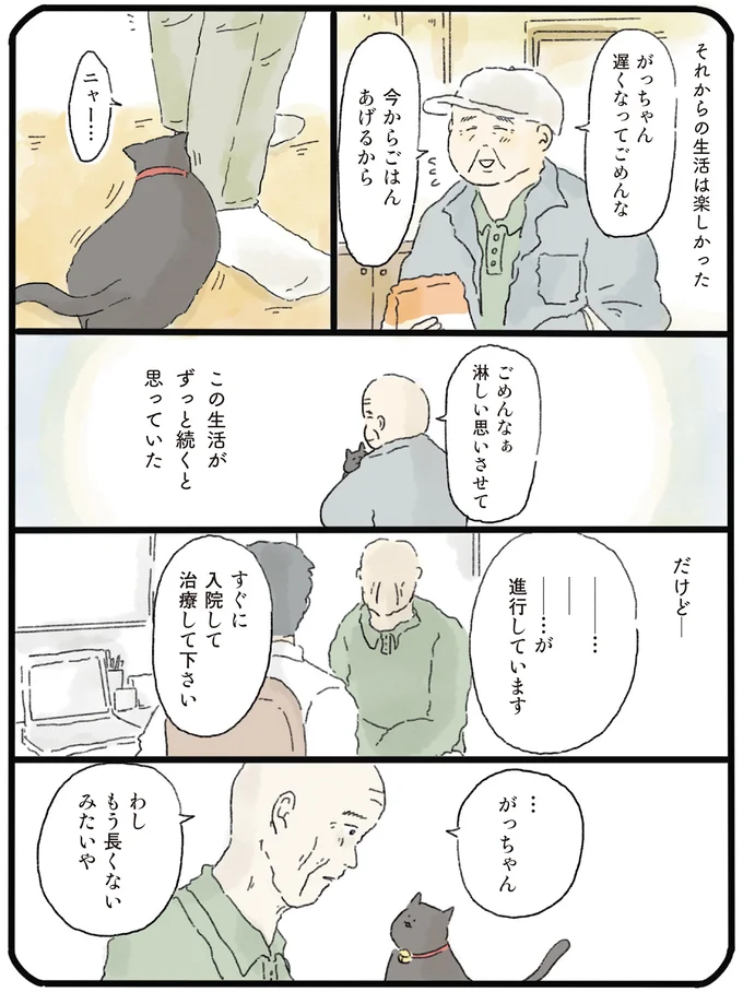猫だけは幸せになってほしい。余命宣告を受けたおじいさんが「涙した理由」／泣きたい夜の甘味処 14615547.webp
