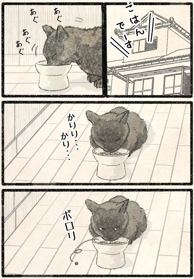 『今日もネコ様の圧が強い2』 54.webp