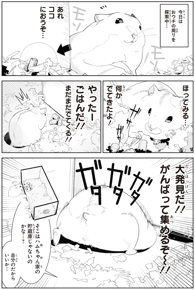 想定外の破壊力。靴にすっぽり入ったハムスターに飼い主悶絶!/はむはむづくし2 31-02.png