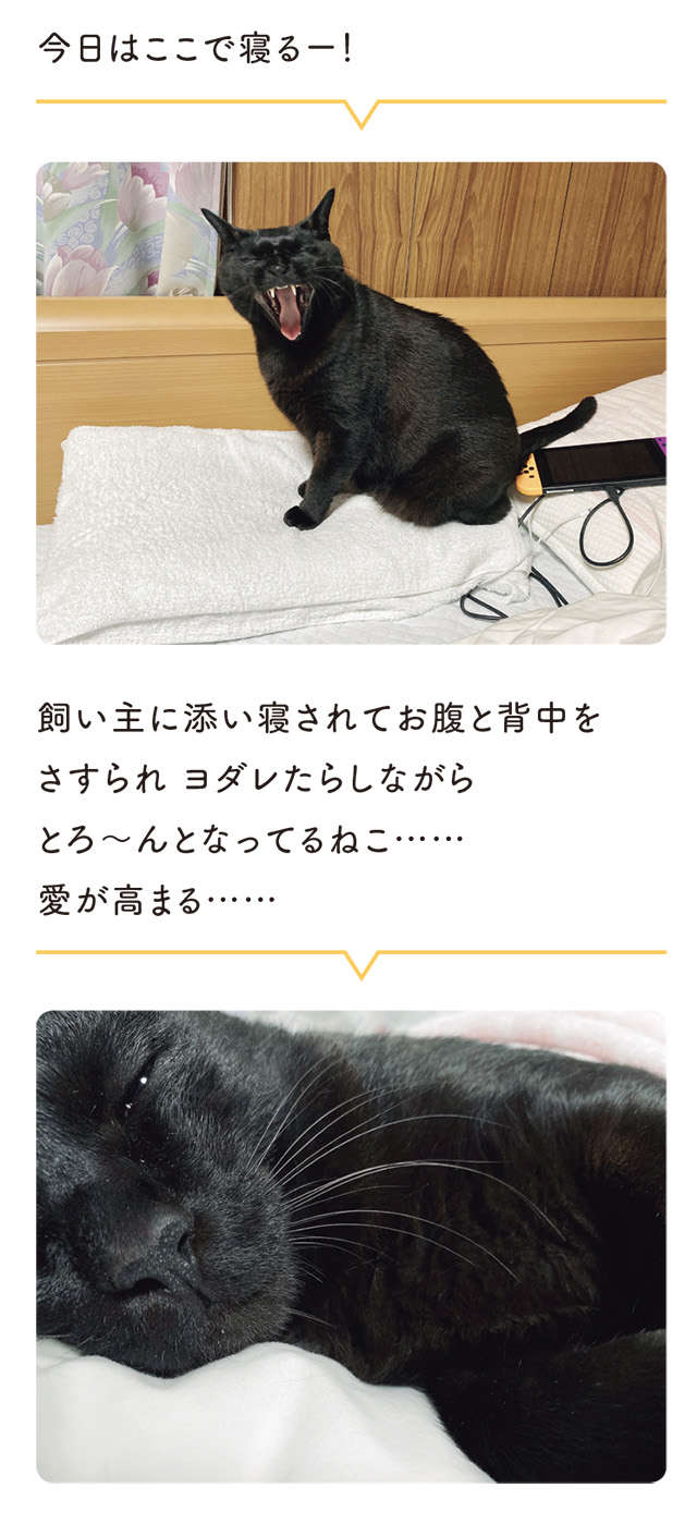 猫への愛が高まる瞬間。添い寝してさすられて「とろ～んとしたこの表情」／黒猫ろんと暮らしたら 14.jpg