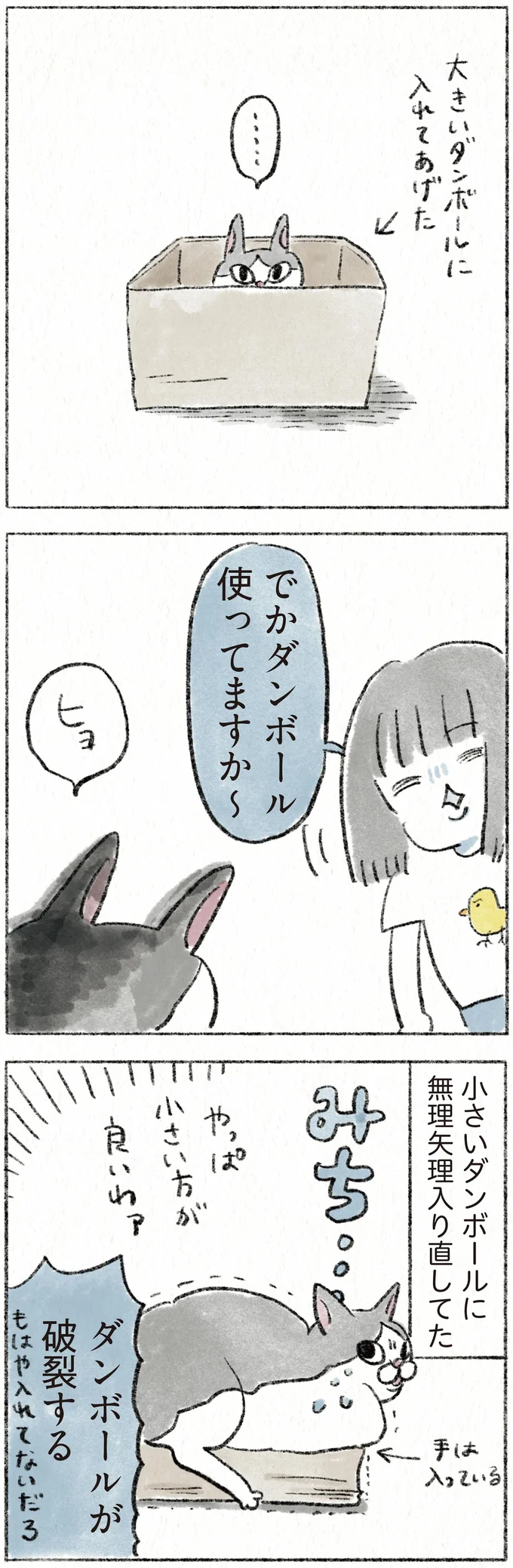『うちの猫は今日も塩対応』 32.webp