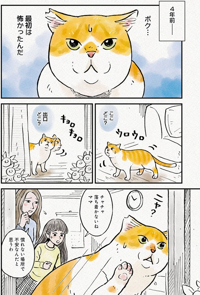 元野良猫がわが家に来た4年前。初めて首輪をつけてあげると...おお！／元野良猫チャチャ 本日も見まわり中 06-01.png
