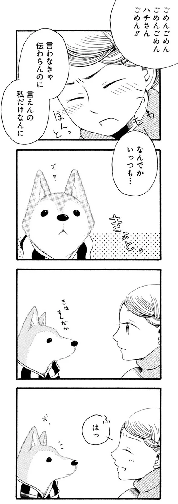 『96歳の柴犬ハチさんは、今日もお散歩しています。』 99_2.webp