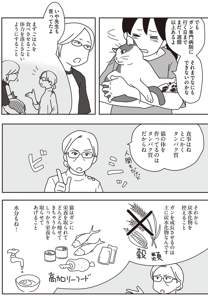 『世界一幸せな飼い主にしてくれた猫』 08-02.png