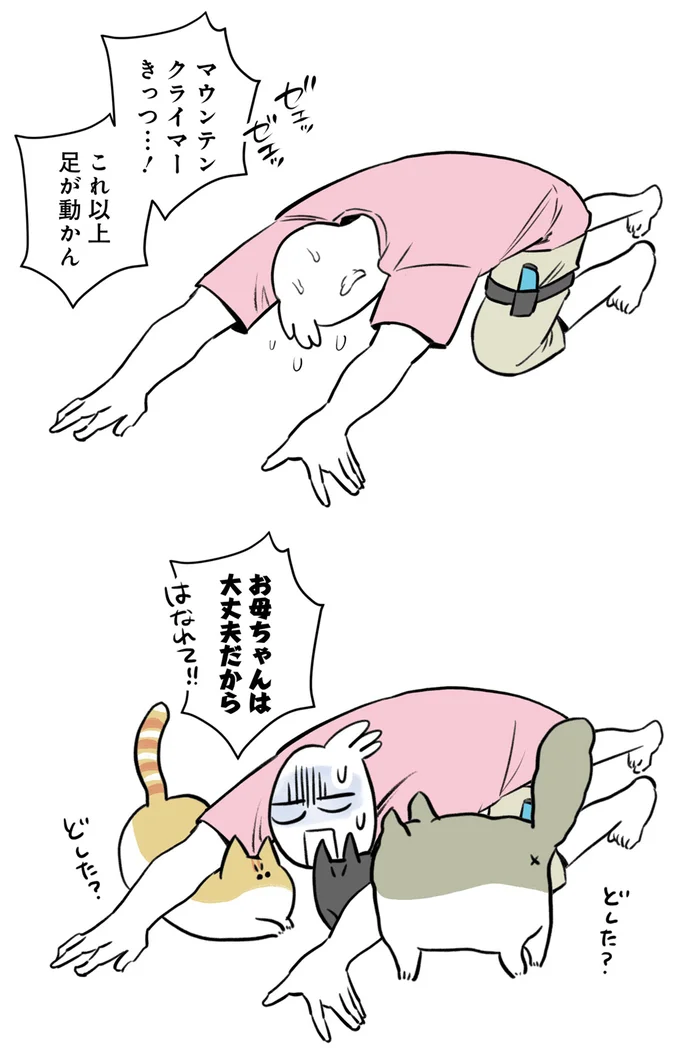 『最高カワイイ！ 甘えん坊3猫日記』 03-03.png