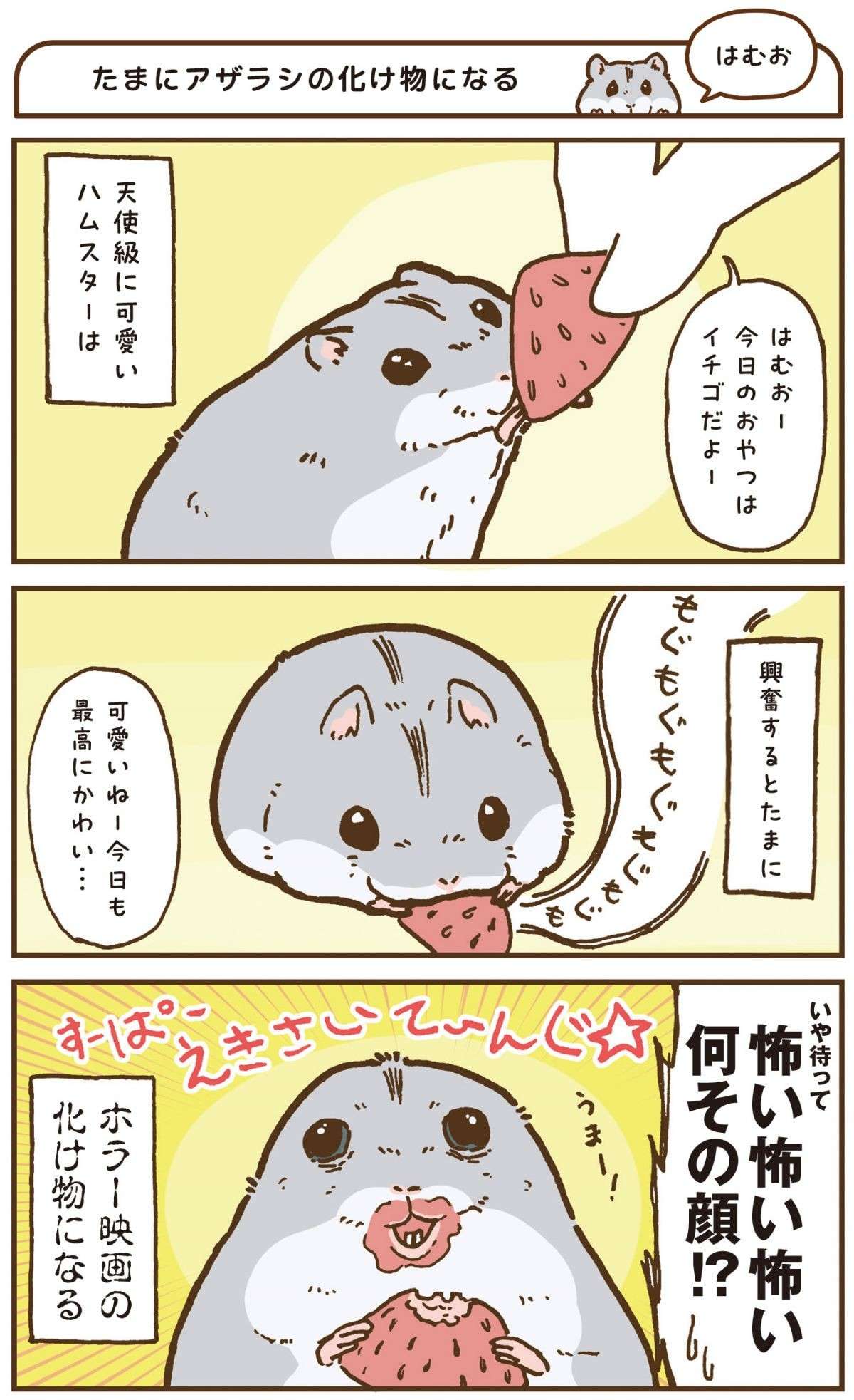 「何その顔!?」天使級に可愛いハムスター。でも興奮すると...／今日もハムスターから目が離せない！ 1.jpg