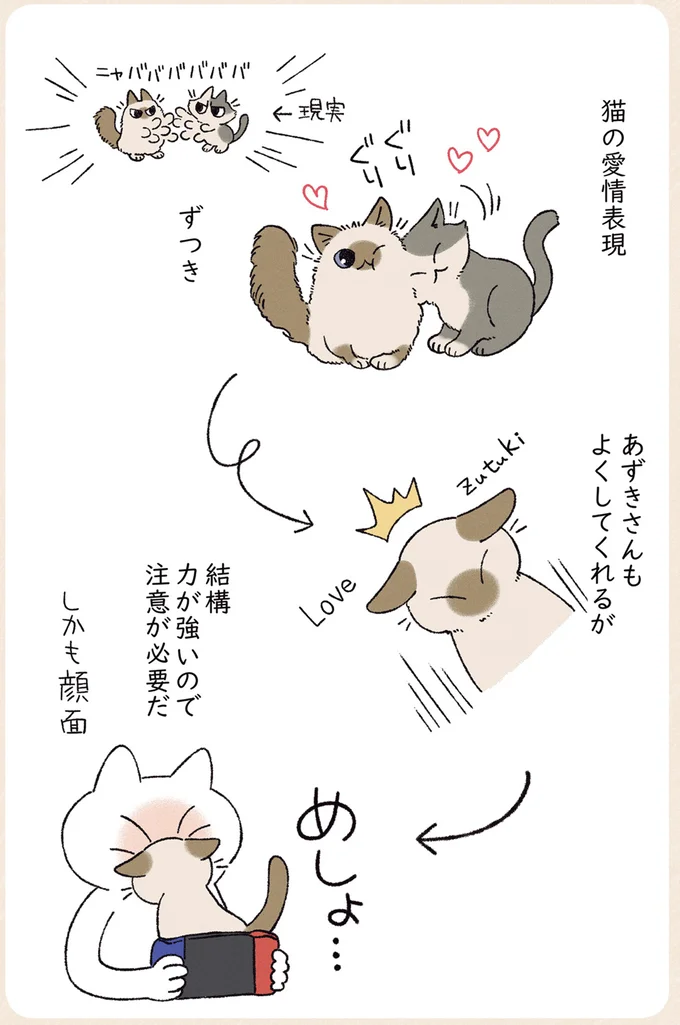 『シャム猫あずきさんは世界の中心』1〜2 11-02.png