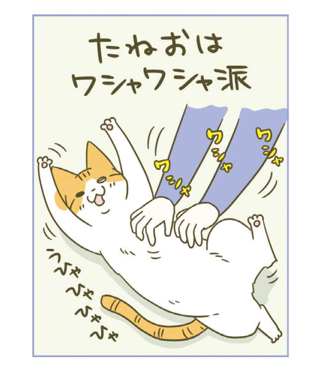 猫が「違うだろ」って顔...たまにこういうこともあるんです／うちの猫がまた変なことしてる。4 14.jpg