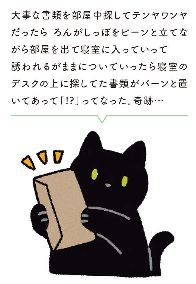 うちの猫の「不思議な出来事」。誘われるままについていったら...！／黒猫ろんと暮らしたら 12.jpg