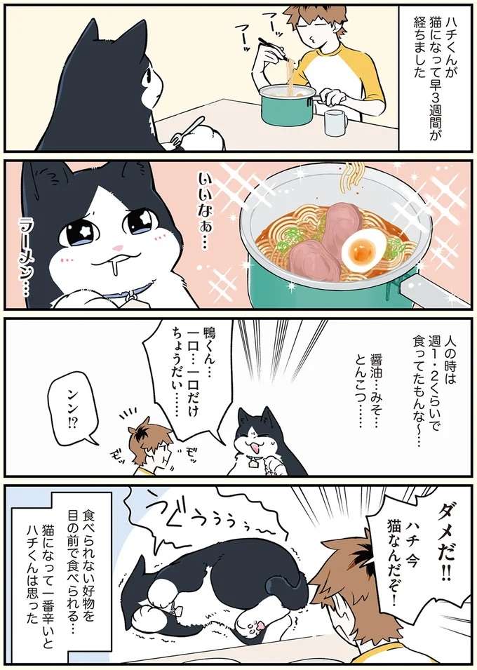 「一口だけ...」。猫になったラーメン好き青年が一番ツラいこと／ブラック企業の社員が猫になって人生が変わった話 black32_1.jpeg