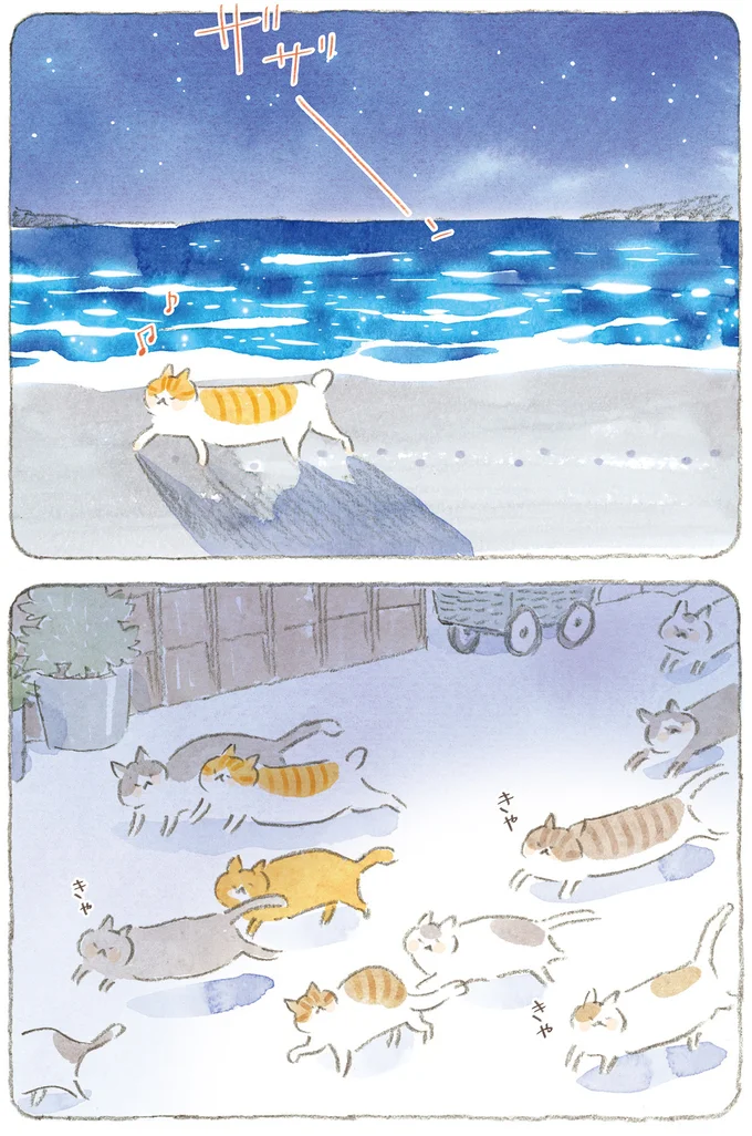 夜は海辺を自由に徘徊する島の猫たち。朝にはじいちゃんの布団にすっぽり／ねことじいちゃん11 15.png