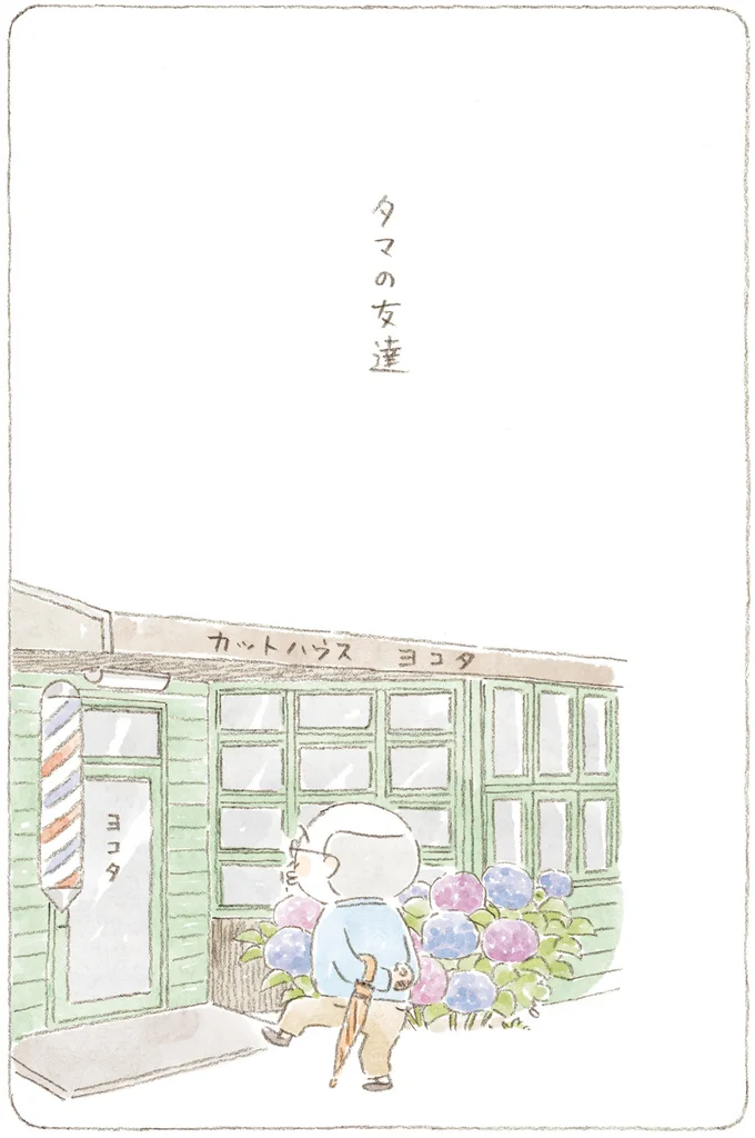 「ご機嫌じゃないか」。床屋で見かけた、愛猫の「外での姿」／ねことじいちゃん11 21.png