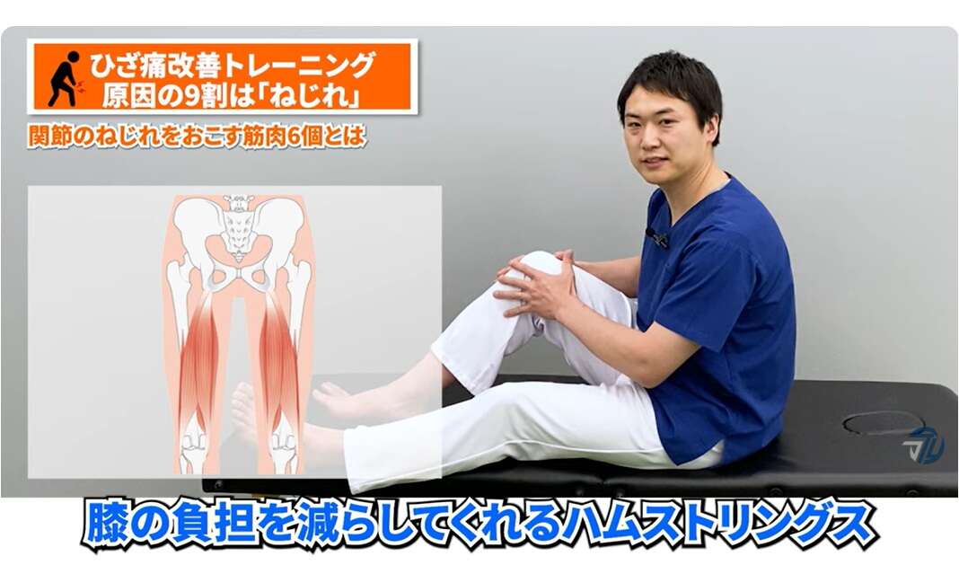「膝の痛み」を抱える50代女性は42.1%。慢性的な膝の痛み解消のための簡単トレーニング【理学療法士が解説】 ハムストリングス1.jpg