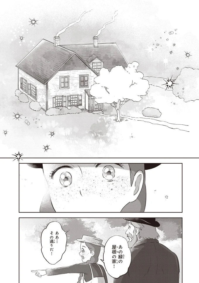 『アン・シャーリー 1』 33.webp