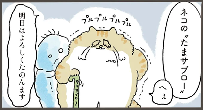 飼い主の不幸を背負っていける!? この世を去る予定のネコが選んだのは.../天国での暮らしはどうですか