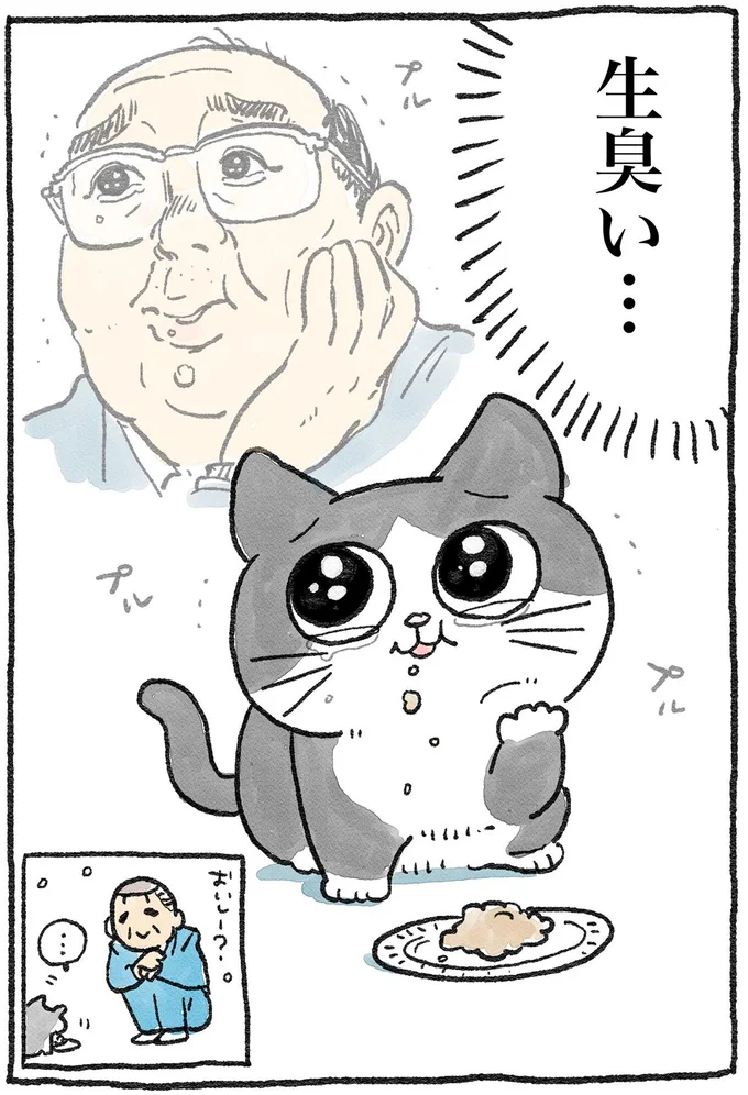 『ねこに転生したおじさん1〜3』 52.webp