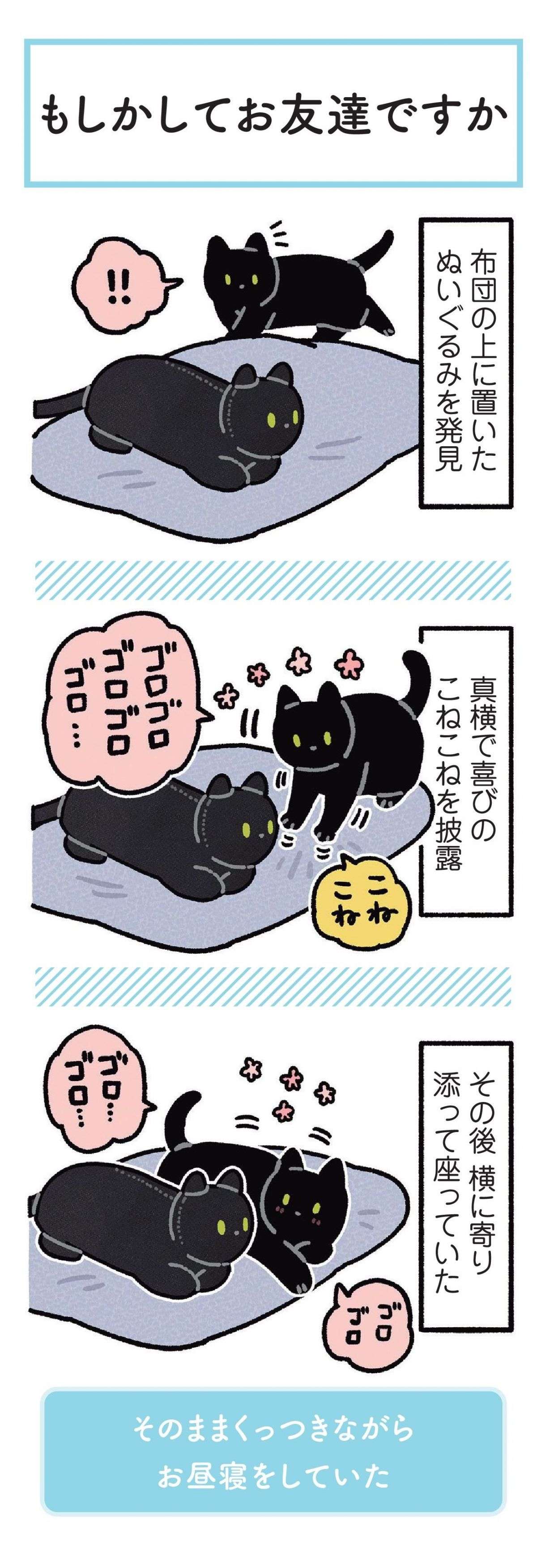 愛猫そっくりの等身大ぬいぐるみを入手。こんなかわいい反応してくれるなんて！／黒猫ろんと暮らしたら 22.jpg