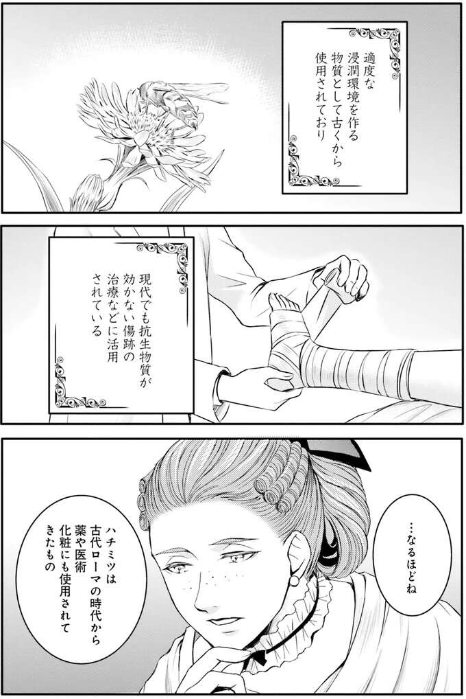 『ラ・マキユーズ～ヴェルサイユの化粧師～　１～５ La maquilleuse』 Lamaquilleuse38_10.jpeg