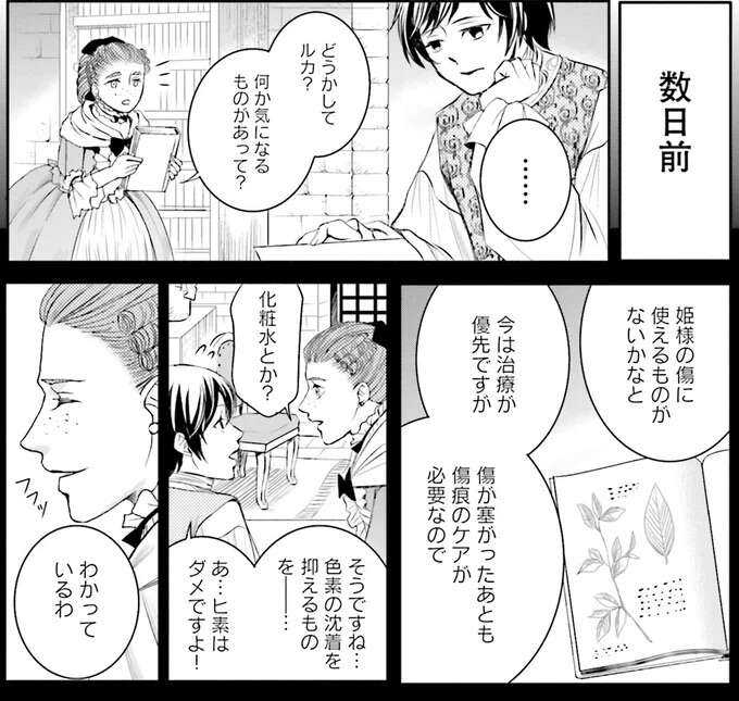 体が不自由なぶん妹のために。不遇な皇女の献身/現代OLが18世紀フランスにタイムスリップしたら4 Lamaquilleuse42_1.jpeg