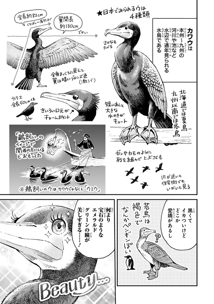 まいにち鳥びより 2-3.png