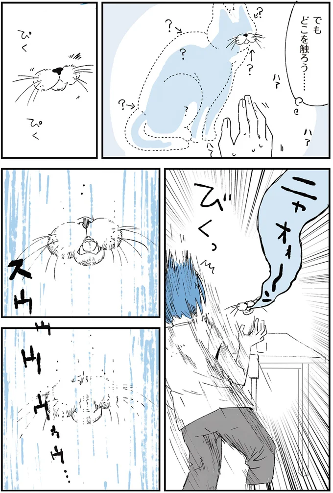 ある日突然、部屋に浮かんでいた「不思議なモノ」。触ろうとしたら...えええ／動物たちが残した25個の不思議なメッセージ 14555443.webp