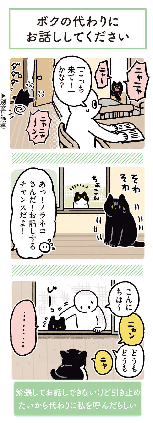 家に来るノラネコと友だちになりたい愛猫。緊張しちゃう姿が愛らしい／黒猫ろんと暮らしたら 14.jpg