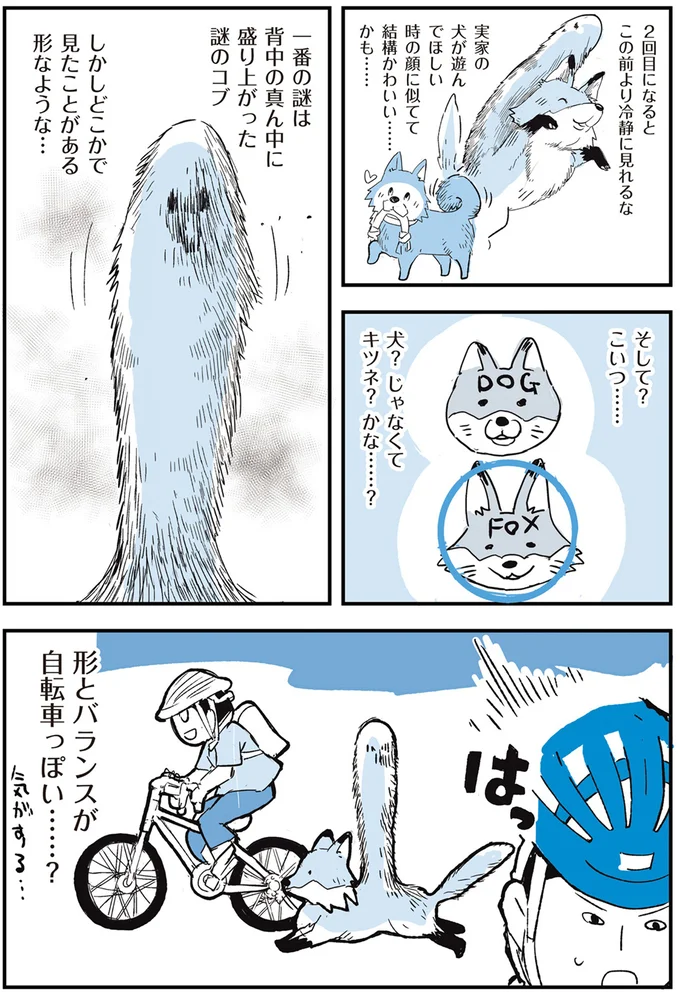 何かが後ろからついてきてる...？ 通勤中に遭遇した「謎の生き物」／動物たちが残した25個の不思議なメッセージ 14555410.webp