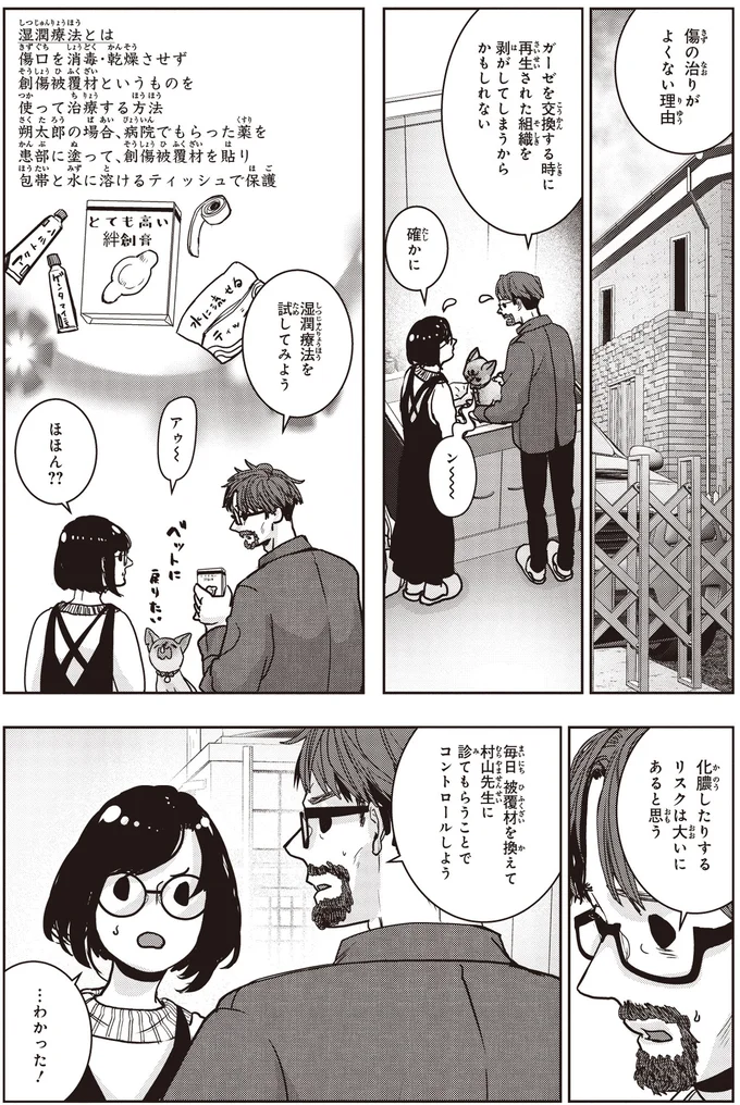 治療中の子猫に新たな傷が？守るために保護したのに...！／スローステップ朔太郎 上 14-01.png