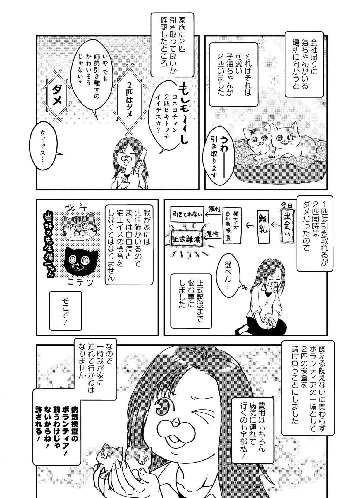 里親募集で出会った姉弟の子猫ちゃん。「2匹はダメ」と家族に言われ悩んだ結果／猫とハスキーとハマジ1 2.jpg