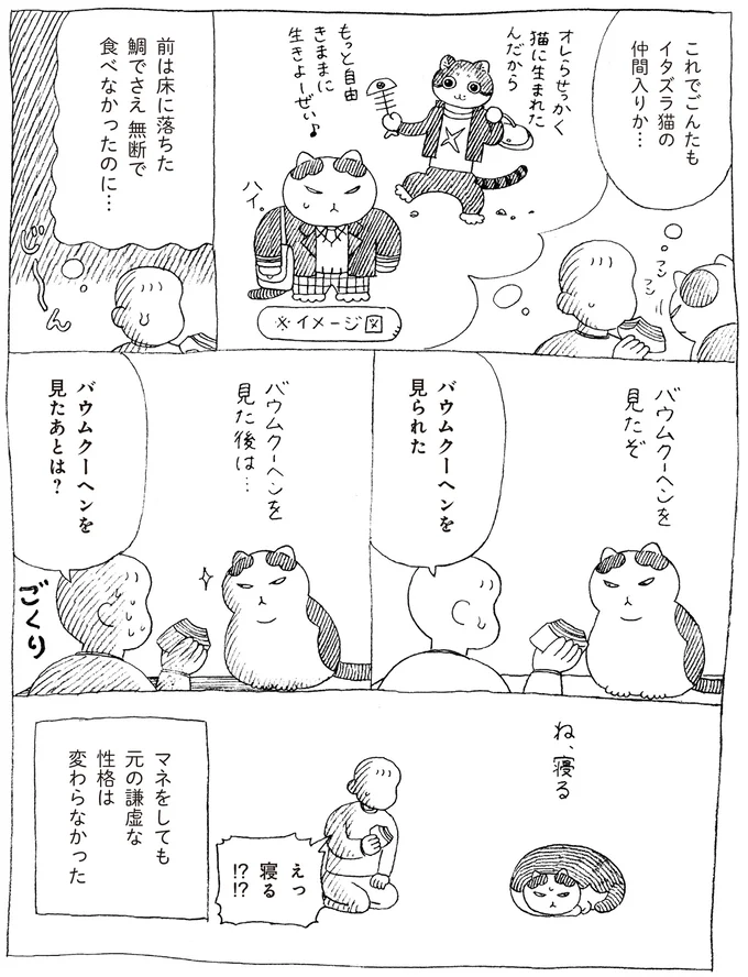 まねっこ好きな元野良猫。ヤンチャな先住猫の真似をしてみたら...!?／野良猫ごんた、家猫になる 16108699.webp