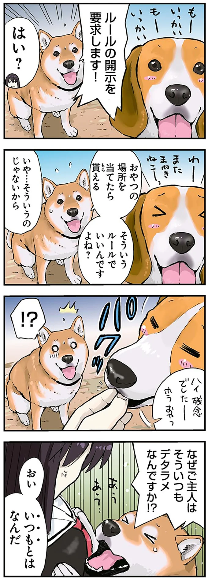 翻弄される柴犬とデタラメなご主人。「おやつはどーこだ？ 」／世界の終わりに柴犬と 2.png